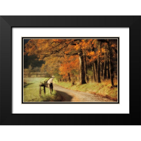 Autumns Morning Light Black Modern Wood Framed Art Print with Double Matting by Burt, D.