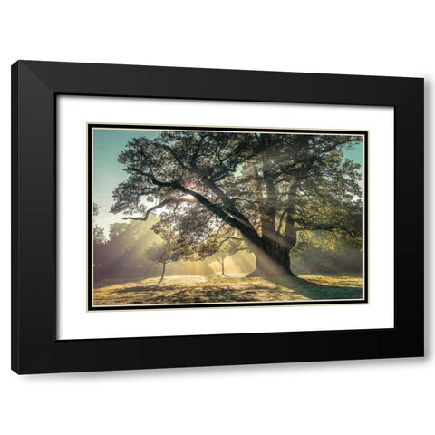 Breaking Through Black Modern Wood Framed Art Print with Double Matting by Frank, Assaf