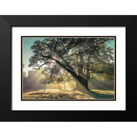 Breaking Through Black Modern Wood Framed Art Print with Double Matting by Frank, Assaf