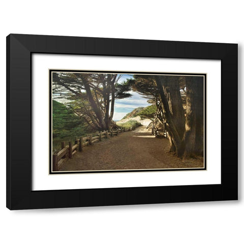 Big Sur Black Modern Wood Framed Art Print with Double Matting by Cahill, Michael
