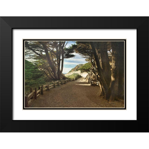 Big Sur Black Modern Wood Framed Art Print with Double Matting by Cahill, Michael