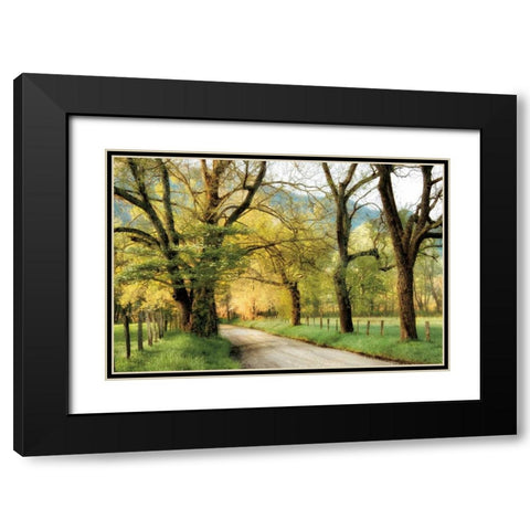Warm Morning Light Black Modern Wood Framed Art Print with Double Matting by Burt, D.