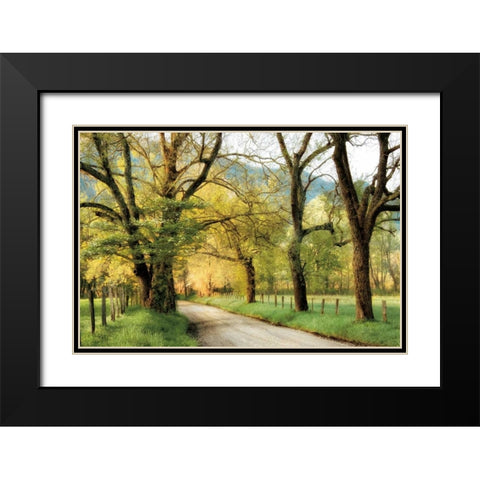 Warm Morning Light Black Modern Wood Framed Art Print with Double Matting by Burt, D.