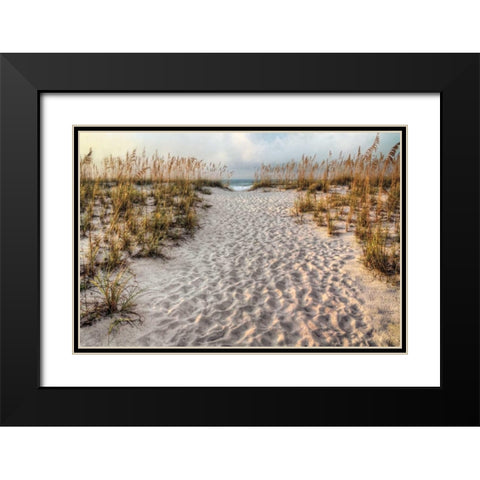 Path to the Beach Black Modern Wood Framed Art Print with Double Matting by Cahill, Michael