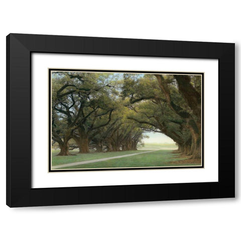 Alley of the Oaks Black Modern Wood Framed Art Print with Double Matting by Guion, William
