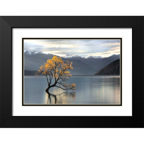 Undisturbed Black Modern Wood Framed Art Print with Double Matting by Michael Cahill
