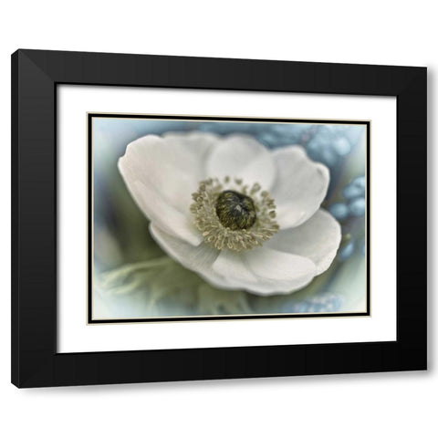 Inspired Black Modern Wood Framed Art Print with Double Matting by Frank, Assaf