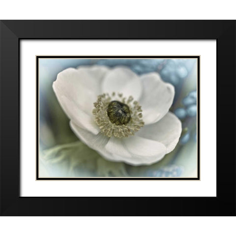 Inspired Black Modern Wood Framed Art Print with Double Matting by Frank, Assaf