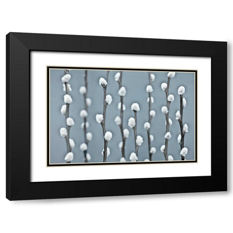 Protected Black Modern Wood Framed Art Print with Double Matting by Frank, Assaf