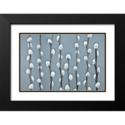 Protected Black Modern Wood Framed Art Print with Double Matting by Frank, Assaf