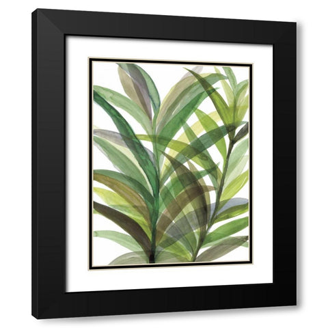Tropical Greens II Black Modern Wood Framed Art Print with Double Matting by Meyers, Rebecca