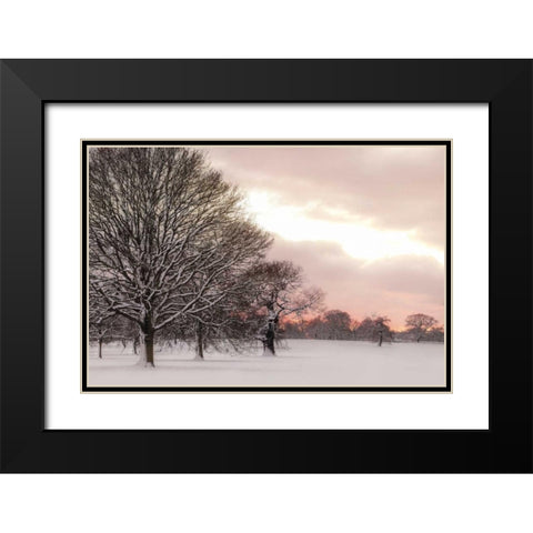 Rosy Sunset Black Modern Wood Framed Art Print with Double Matting by Frank, Assaf