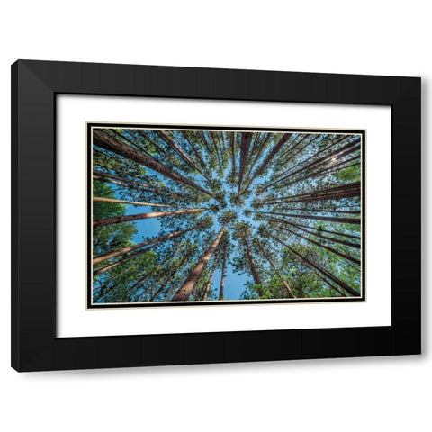 Up Black Modern Wood Framed Art Print with Double Matting by Bellyk, Daniel J.