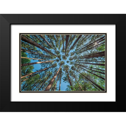 Up Black Modern Wood Framed Art Print with Double Matting by Bellyk, Daniel J.