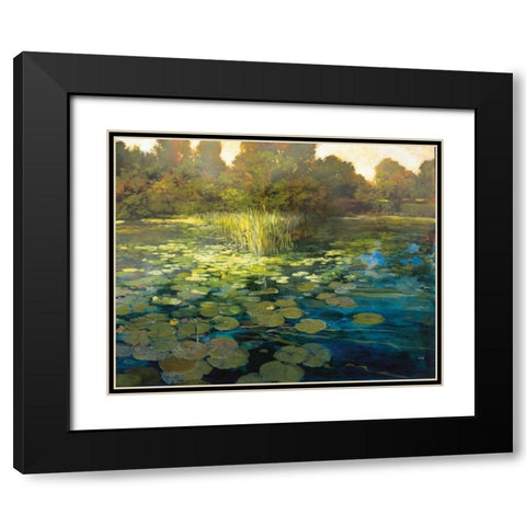 Waterlilies Black Modern Wood Framed Art Print with Double Matting by Craig, Philip