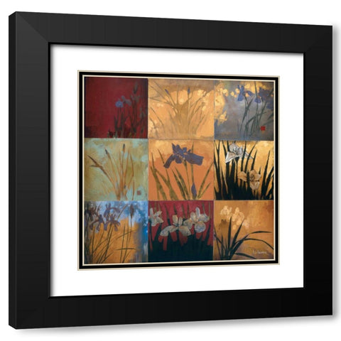 Iris Nine Patch II Black Modern Wood Framed Art Print with Double Matting by Li-Leger, Don