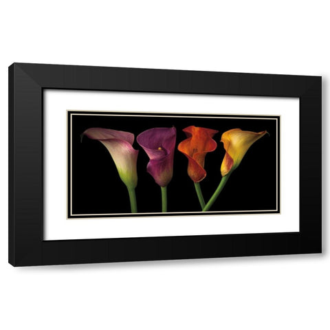 Jewel Calla Lilies Black Modern Wood Framed Art Print with Double Matting by Frank, Assaf
