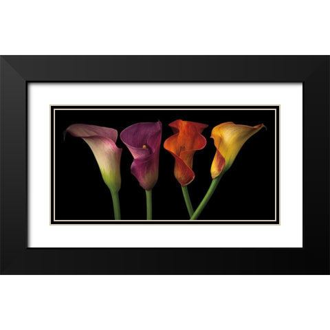 Jewel Calla Lilies Black Modern Wood Framed Art Print with Double Matting by Frank, Assaf