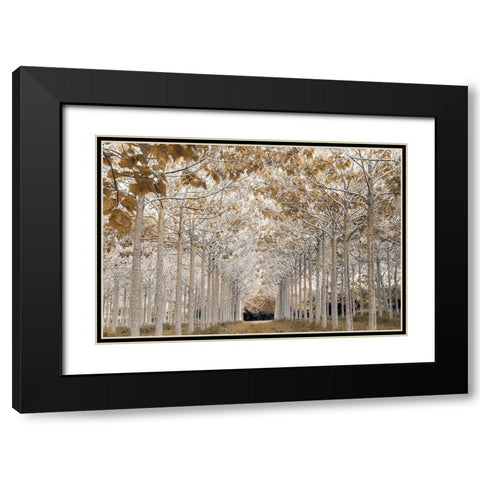White Gold Black Modern Wood Framed Art Print with Double Matting by Frank, Assaf