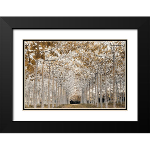 White Gold Black Modern Wood Framed Art Print with Double Matting by Frank, Assaf