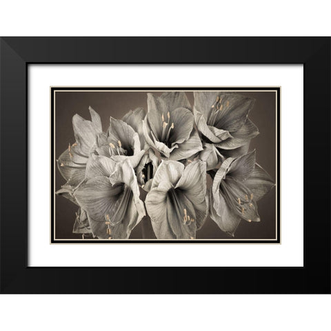 Grand Floral Black Modern Wood Framed Art Print with Double Matting by Frank, Assaf