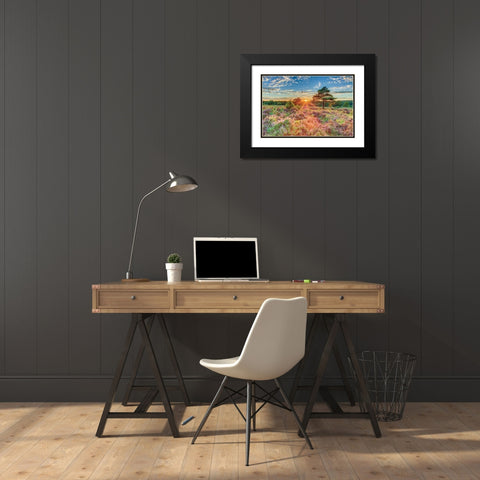 Heathland Sunset Black Modern Wood Framed Art Print with Double Matting by Frank, Assaf