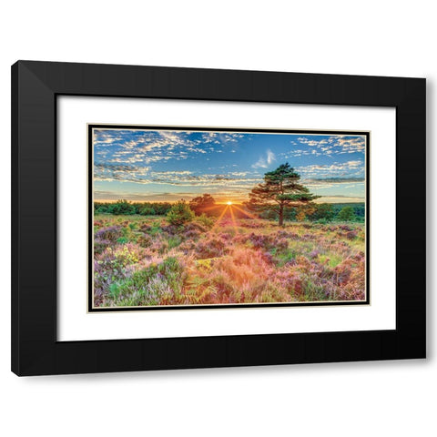 Heathland Sunset Black Modern Wood Framed Art Print with Double Matting by Frank, Assaf