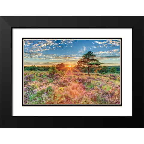 Heathland Sunset Black Modern Wood Framed Art Print with Double Matting by Frank, Assaf