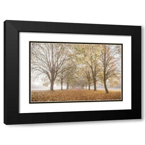 Autumns Peace Black Modern Wood Framed Art Print with Double Matting by Frank, Assaf