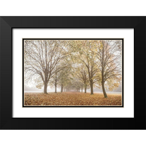 Autumns Peace Black Modern Wood Framed Art Print with Double Matting by Frank, Assaf