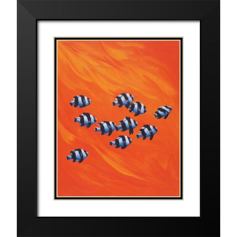 10 Black-Tailed Humbugs Black Modern Wood Framed Art Print with Double Matting by Siddle, Keith
