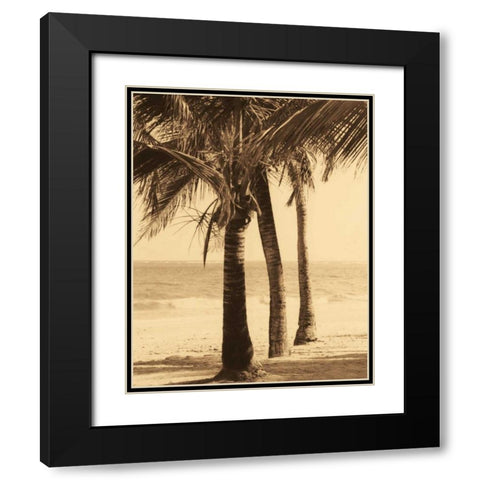 Palm Beach II Black Modern Wood Framed Art Print with Double Matting by Kelly, Dennis