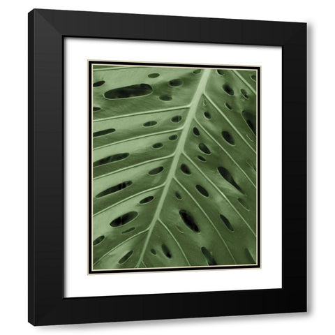 Tropica II Black Modern Wood Framed Art Print with Double Matting by Maihara/Watt, Jeff/Boyce