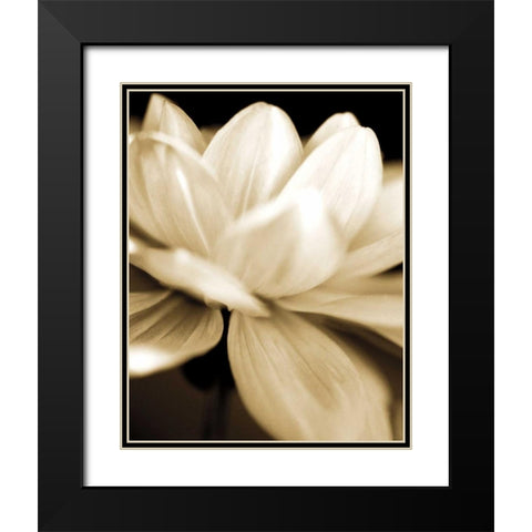 Radiance II Black Modern Wood Framed Art Print with Double Matting by Ryan, Cinzia