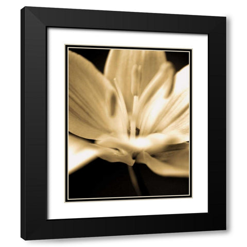 Radiance III Black Modern Wood Framed Art Print with Double Matting by Ryan, Cinzia