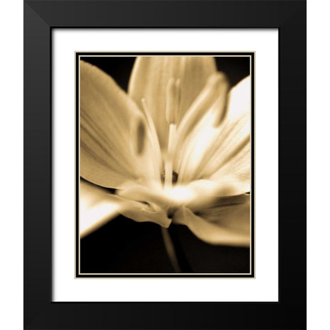 Radiance III Black Modern Wood Framed Art Print with Double Matting by Ryan, Cinzia