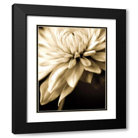 Radiance IV Black Modern Wood Framed Art Print with Double Matting by Ryan, Cinzia