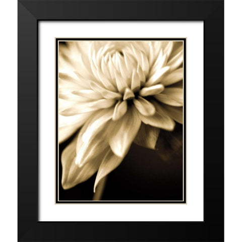 Radiance IV Black Modern Wood Framed Art Print with Double Matting by Ryan, Cinzia