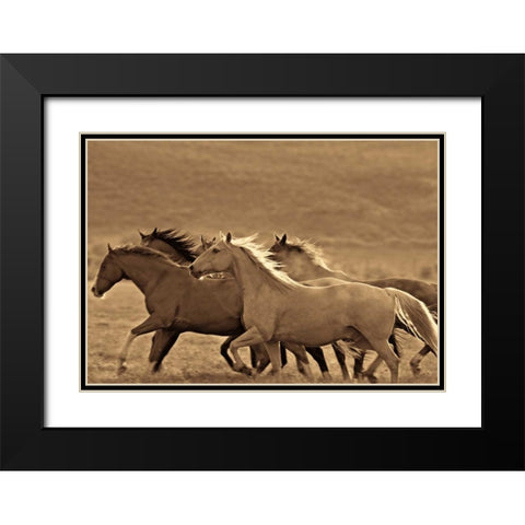 Like the Wind II Black Modern Wood Framed Art Print with Double Matting by Caro, Wendy
