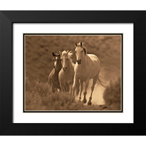 Rangers Black Modern Wood Framed Art Print with Double Matting by Caro, Wendy