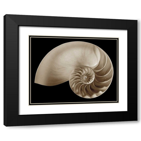 Ocean Keepsake II Black Modern Wood Framed Art Print with Double Matting by Britt, Charles