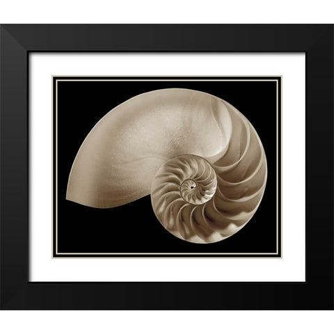 Ocean Keepsake II Black Modern Wood Framed Art Print with Double Matting by Britt, Charles