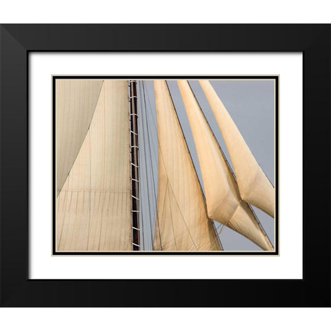 Windward II Black Modern Wood Framed Art Print with Double Matting by LeBlanc, Frederick J.