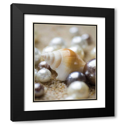 Sea Jewels I Black Modern Wood Framed Art Print with Double Matting by Maihara/Watt, Jeff/Boyce