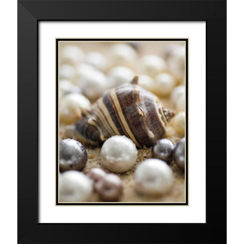 Sea Jewels II Black Modern Wood Framed Art Print with Double Matting by Maihara/Watt, Jeff/Boyce