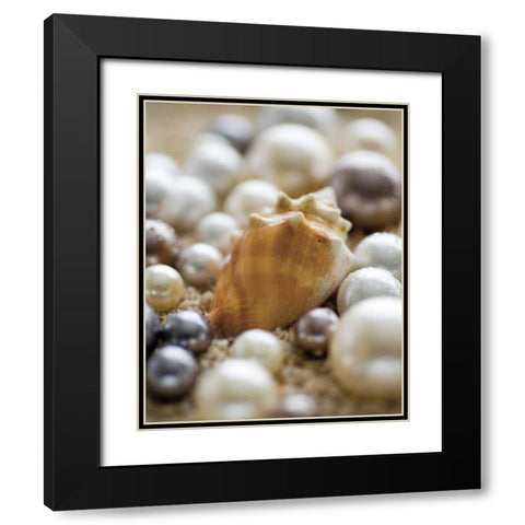 Sea Jewels III Black Modern Wood Framed Art Print with Double Matting by Maihara/Watt, Jeff/Boyce