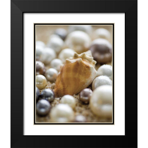 Sea Jewels III Black Modern Wood Framed Art Print with Double Matting by Maihara/Watt, Jeff/Boyce