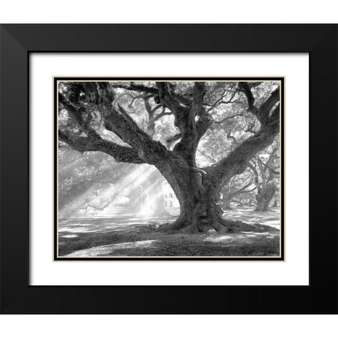 Andrew Oak - Afternoon Light Black Modern Wood Framed Art Print with Double Matting by Guion, William