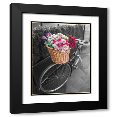 Basket of Flowers I Black Modern Wood Framed Art Print with Double Matting by Frank, Assaf