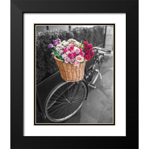 Basket of Flowers I Black Modern Wood Framed Art Print with Double Matting by Frank, Assaf
